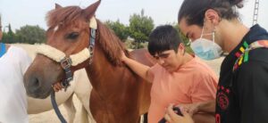 terapia caballos
